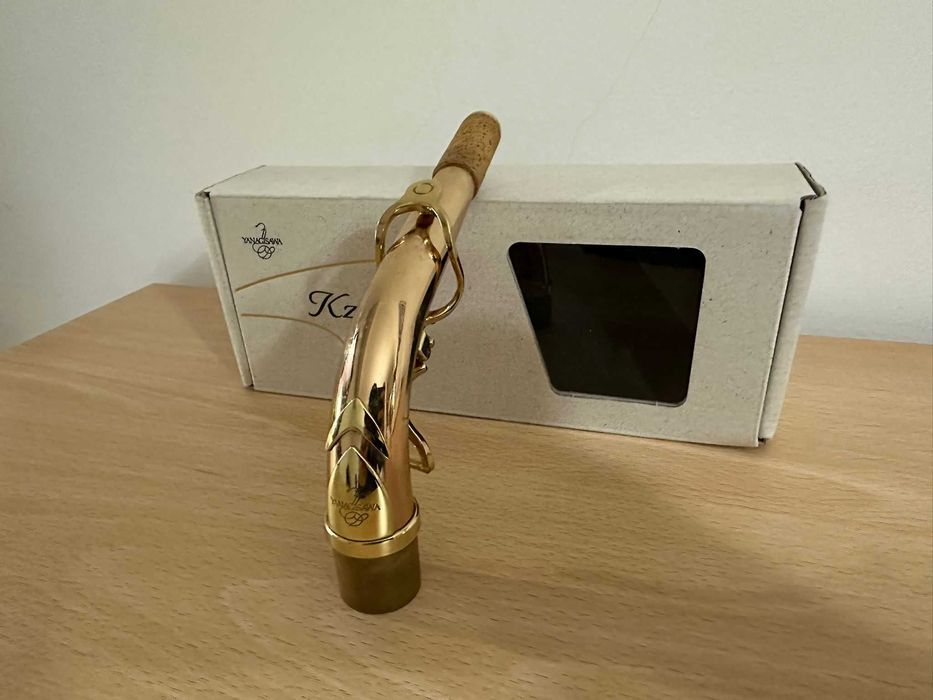 Tudel Yanagisawa Akz2