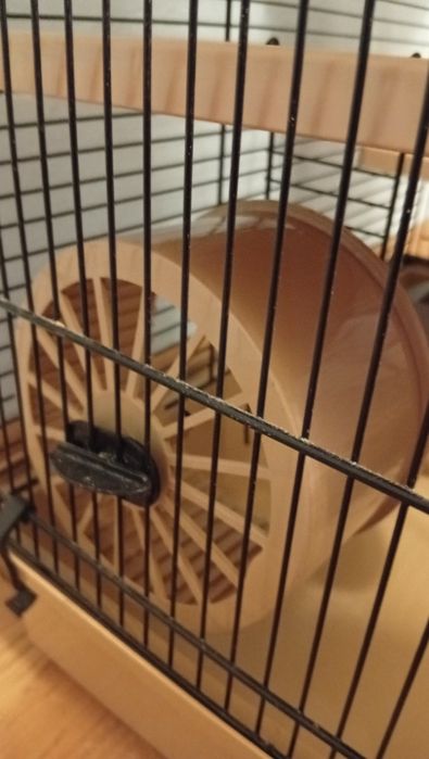 Klatka dla chomika duża okazja