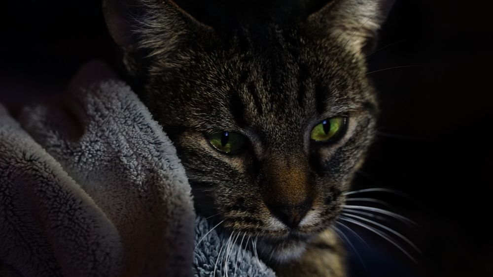 Sit and PLAY! 5€/hr