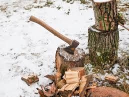 Brukarstwo-Ogrodnictwo