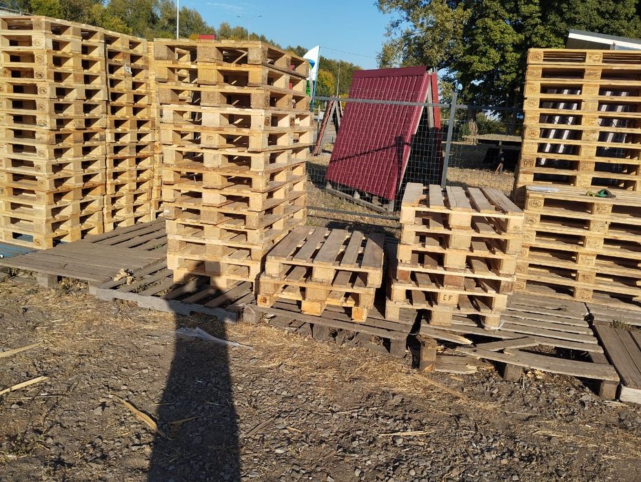 Продаж та Bикуп дерев'яних піддонів в м. Суми