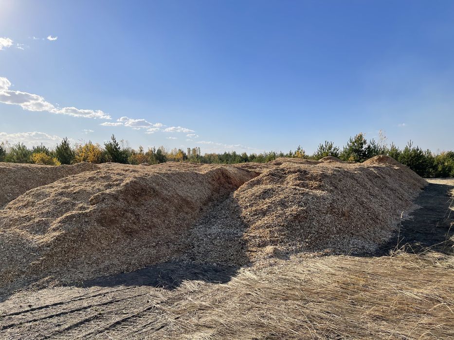 Щепа береза (висока якість) до 20%вологості сухостій