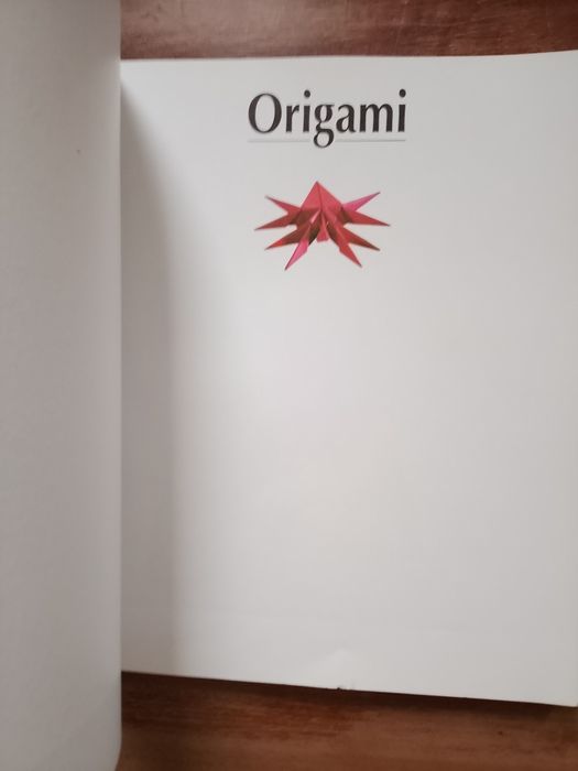 Origami -  Pham Dinh Tuyen