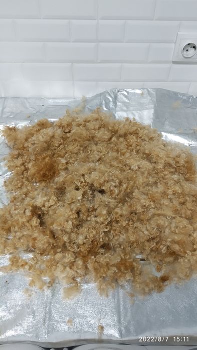 Продам собачу шерсть