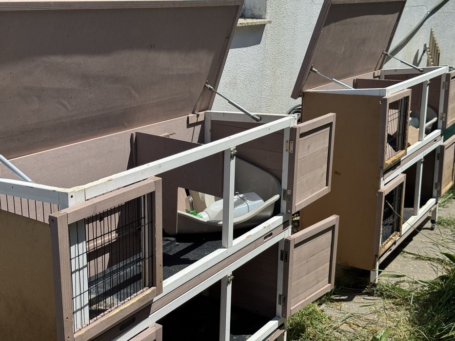 3 coelheiras grandes com acessórios