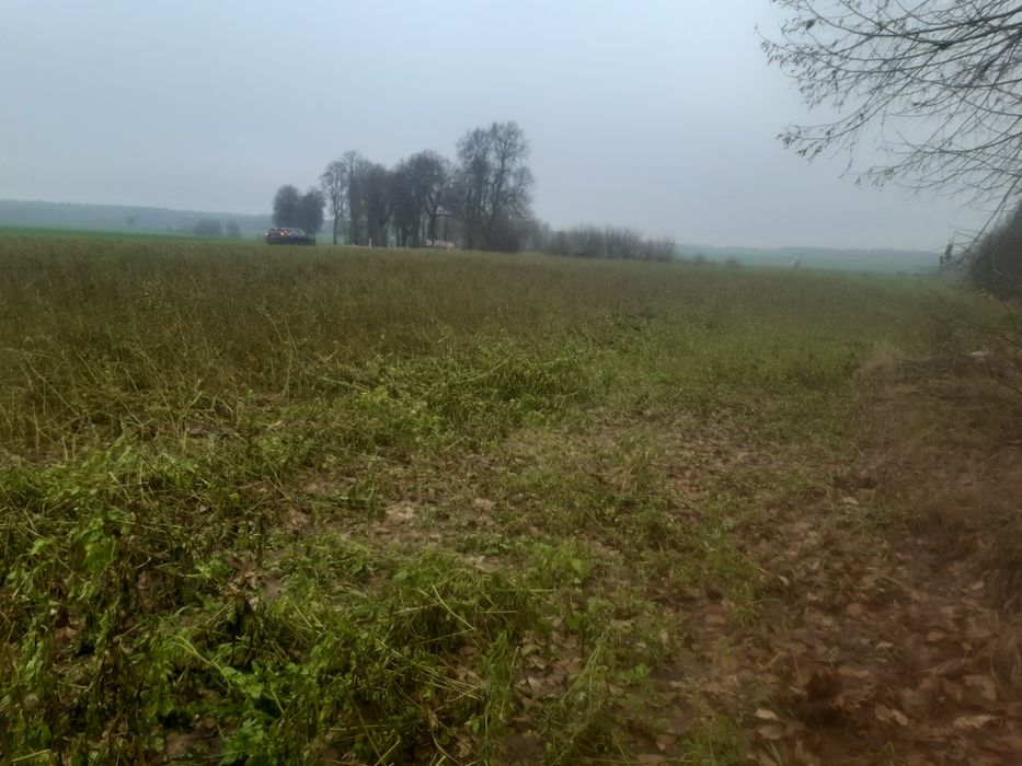 6 działek budowlanych Uzdowo