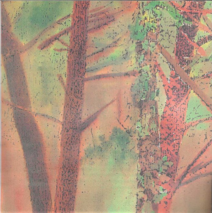 A Floresta - Sophia de Mello Breyner Andresen