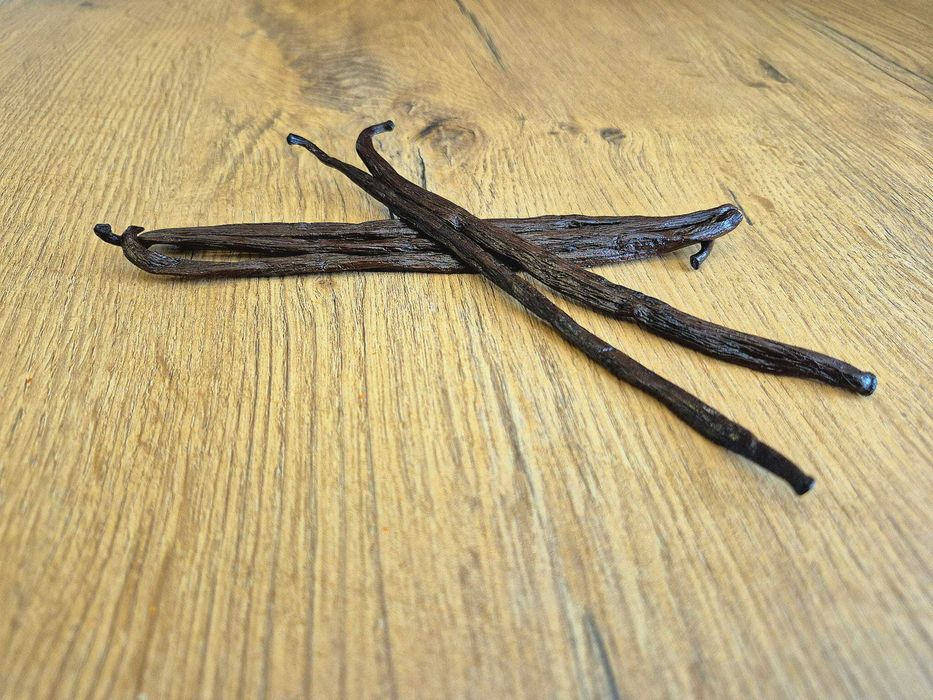 LASKA WANILII aromatyczna świeżość dł. około 16 cm.