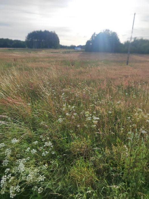 Działka budowlana w Żurominie gmina stężyca - Widok 4