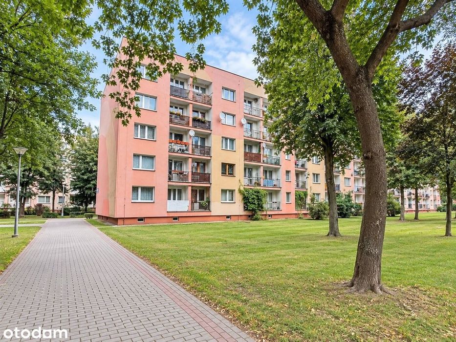 Mieszkanie 2 pokoje – Oświęcim, ul. Dąbrowskiego