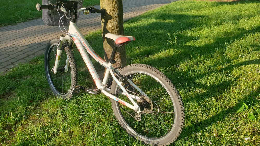 Rower 26” Unibike Roxi