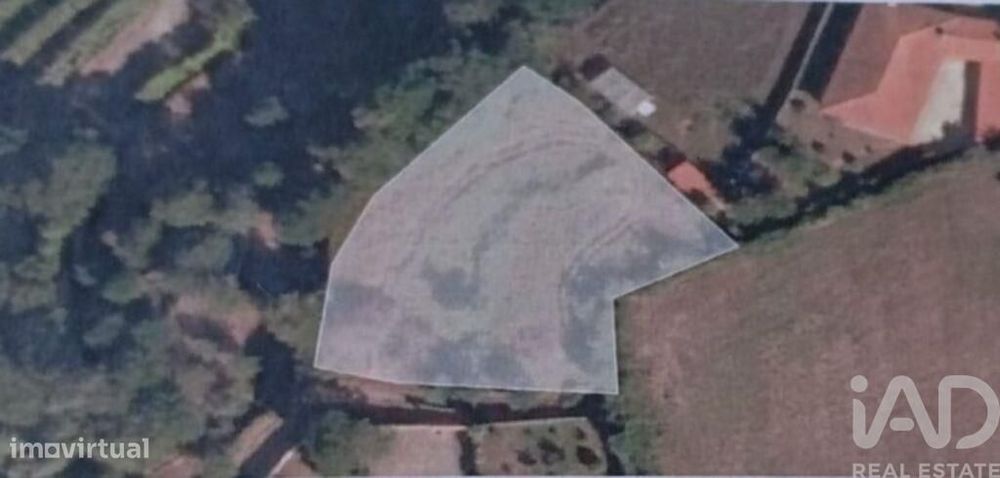 Terreno Agrícola em Infesta