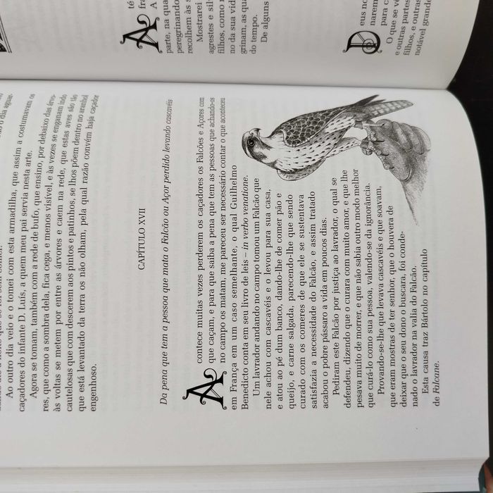 Arte da Caça de Altaneria - Diogo Fernandes Ferreira