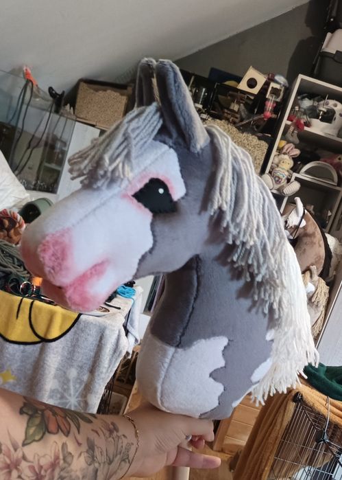 Hobby horse kht_emi