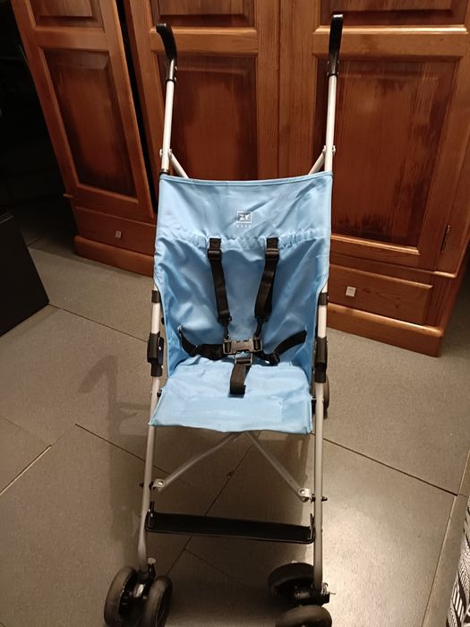 Carrinho azul de passeio