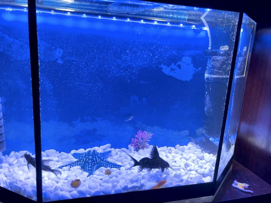 Продам аквариум 110 литров.