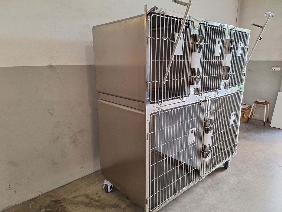 Módulo de 5 jaulas para clinica veterinaria