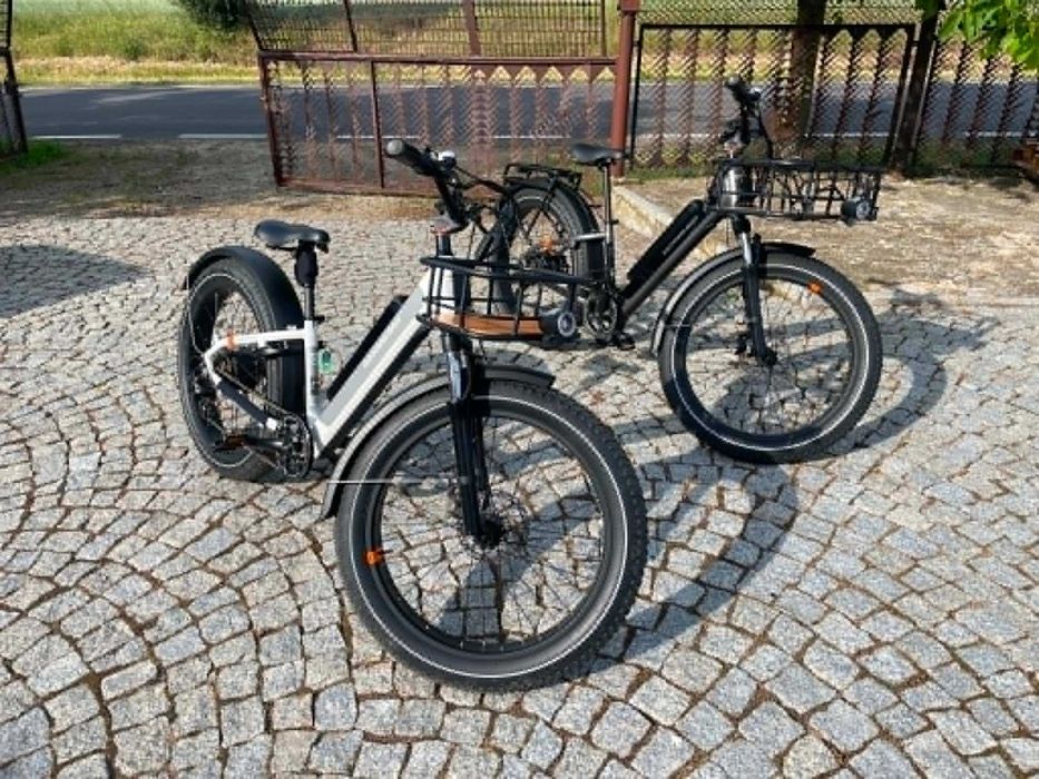 Rower elektryczny RadRhino 6 Plus