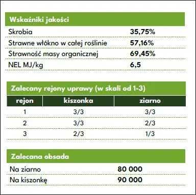 Nasiona kukurydzy CESONE ziarno kiszonka FAO 250 (80 tys.)