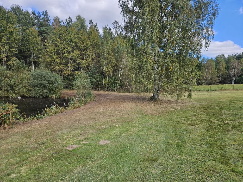 czyszczenie oczyszczanie działek nieużytków