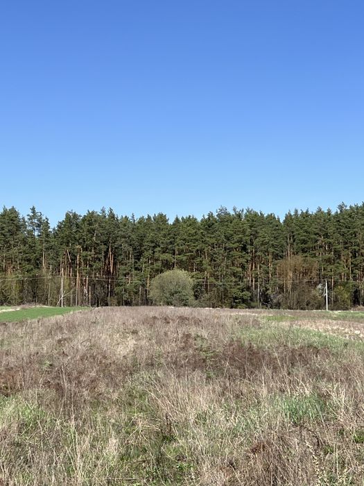 Продаж Земельна ділянка. Без комісії %