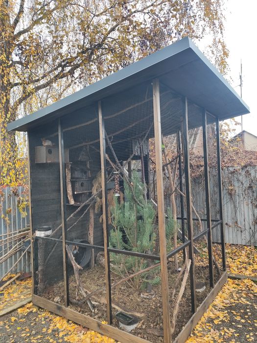 Вальєр клітка для білок і не тільки.