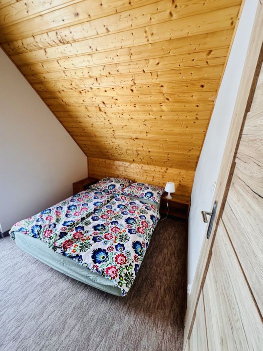 Domek Zieleniec, góry Orlickie Lasówka
