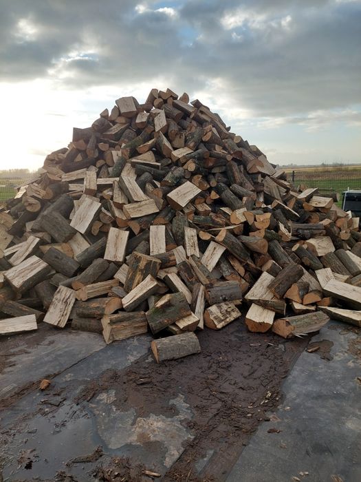 Drewno kominkowe drzewo Dąb grab brzoza olcha sosna