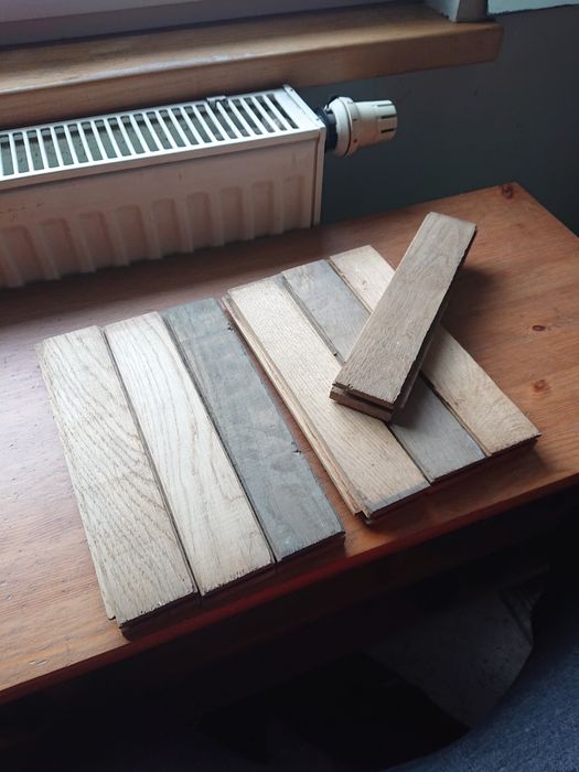 Parkiet paczki nigdy nie zakladany