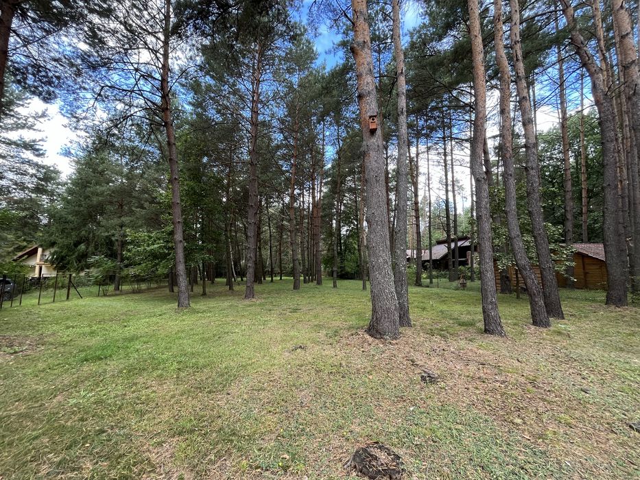 Radawa dzielnica Kudryki