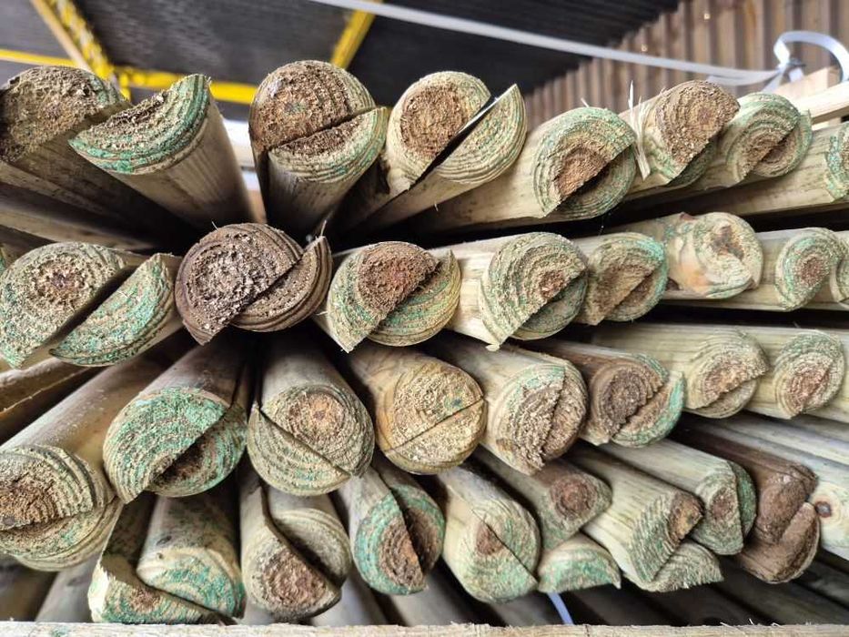 Podpory paliki do Drzew do Nasadzeń Tyczka - Gotowy Zestaw fi5 x 250cm