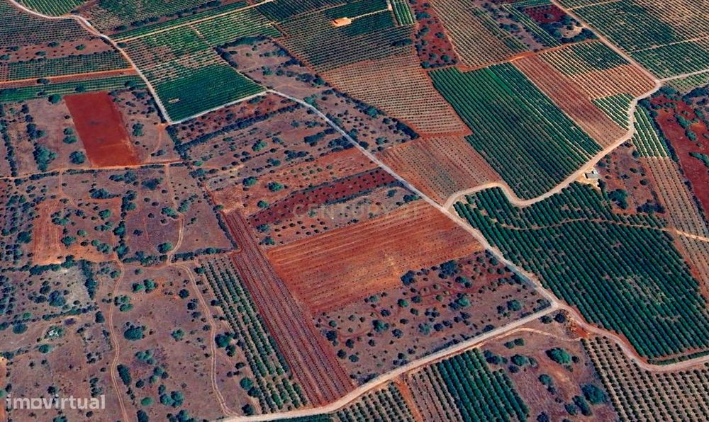 Terreno rústico plano com uma área de 7220 m² — Algoz E Tunes, Faro