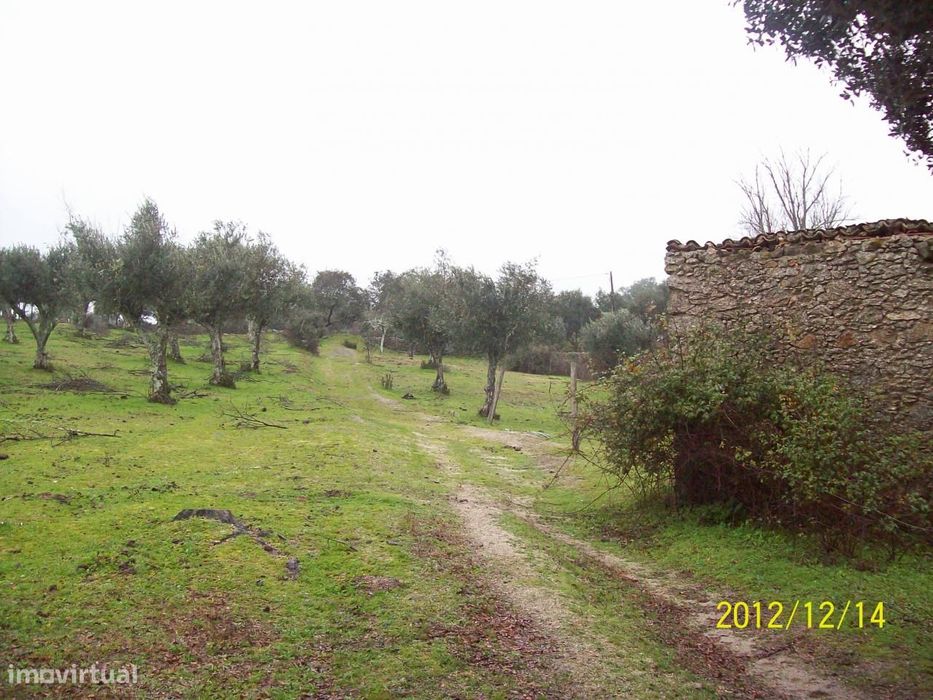 Herdade do Monte da Pedra.