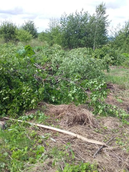 Послуги з  розчищення  ділянок,корчування пнів.