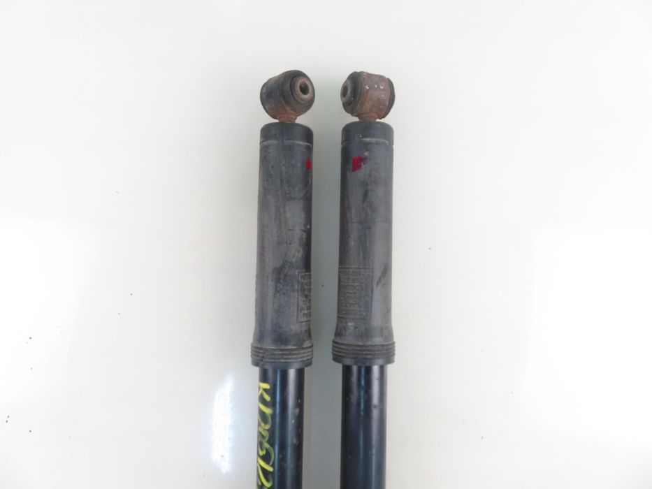 Amortyzatory Tył Citroen C3 II Komplet