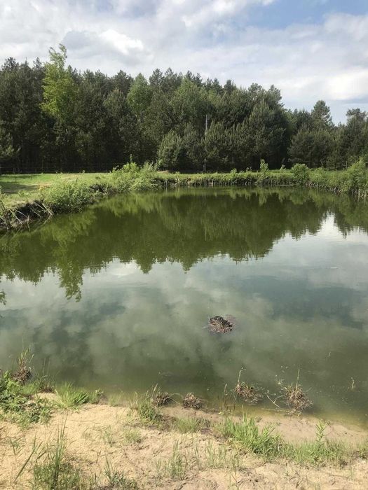 Продаж ділянки з озером с.Синьковичі, Жовківський район