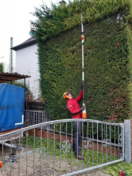 Wycinka drzew trudnych, cięcia drzew, krzewów żywopłotów,usuwanie drze