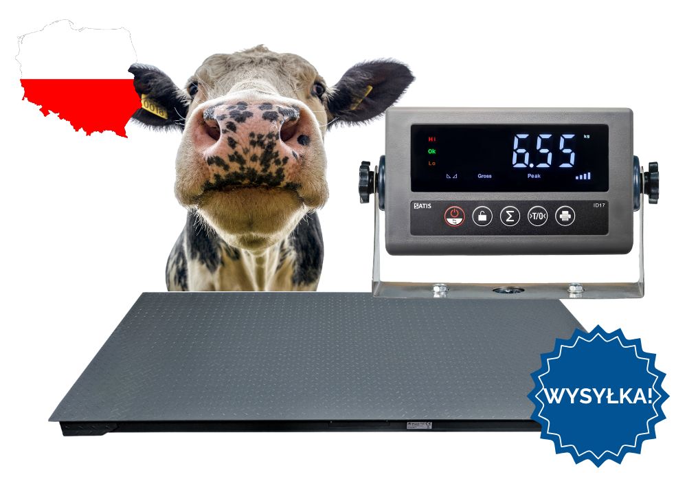 Waga inwentarzowa do Zwierząt do Byków Świń Krów Zwierząt 1,00x2,20 5T