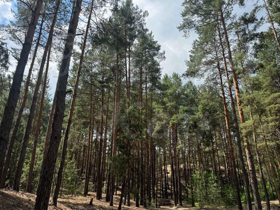 Продам НАЙКРАЩІ ділянки в МАЛЬОВНИЧОМУ місці, 27соток ,с.Проців, ЛІС