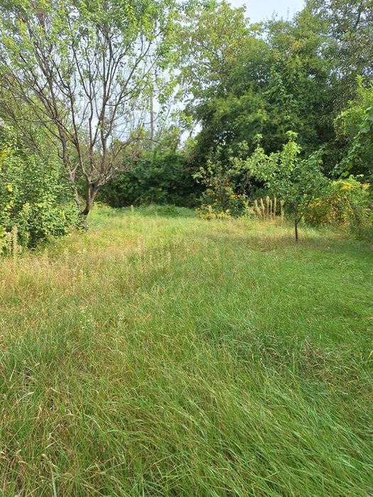 Дзвінкове продам  земельну ділянку 50 соток