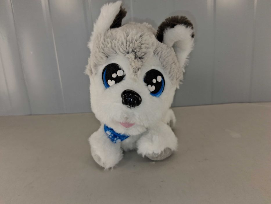 R172 Chi Chi Love Happy Husky Interaktywny Piesek Dźwięki