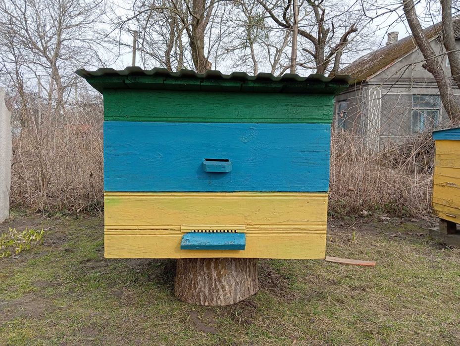 Продам вулики дадан