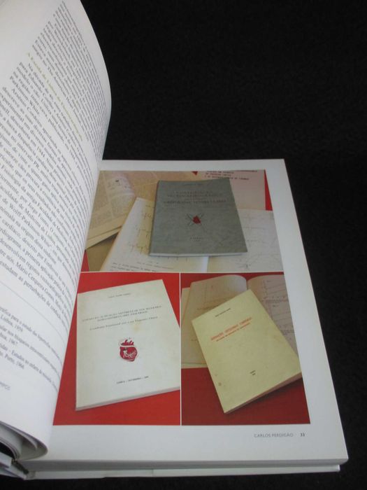 Livro Olhares Views Carlos Perdigão Manuel Valente Alves