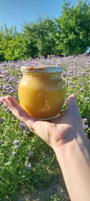 Staw Noakowski - miody z pasieki roztoczańskiej "u Tomka"