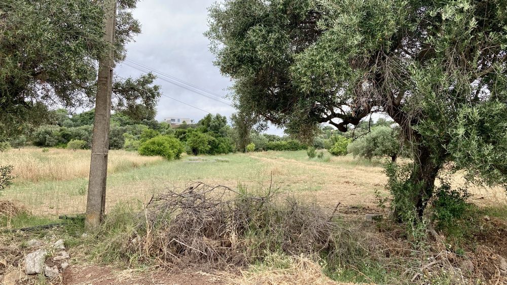 Terreno Rustico em São Brás Alportel