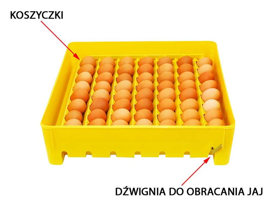 INKUBATOR 230V klujnik wylęgarka półautomatyczny 56/80 jaj +Instrukcja