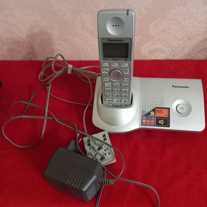 Колокольчик скученый, традесканция, бересклет.Телефонный аппарат стаци