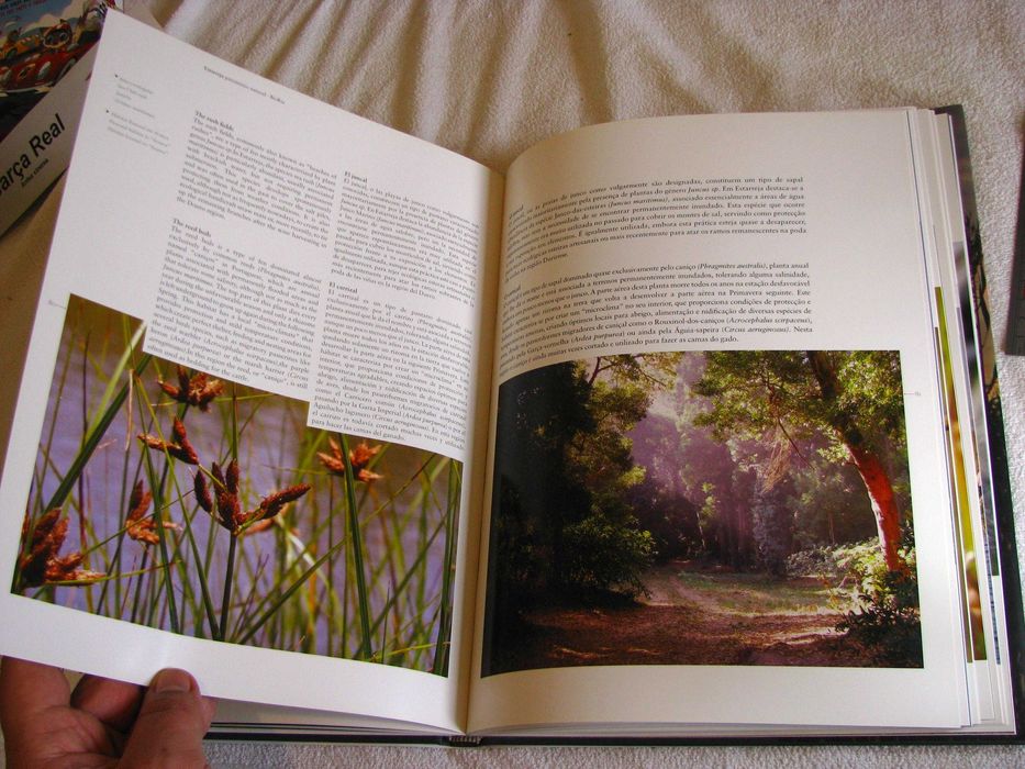 Livro "Património Natural Bioria Estarreja"