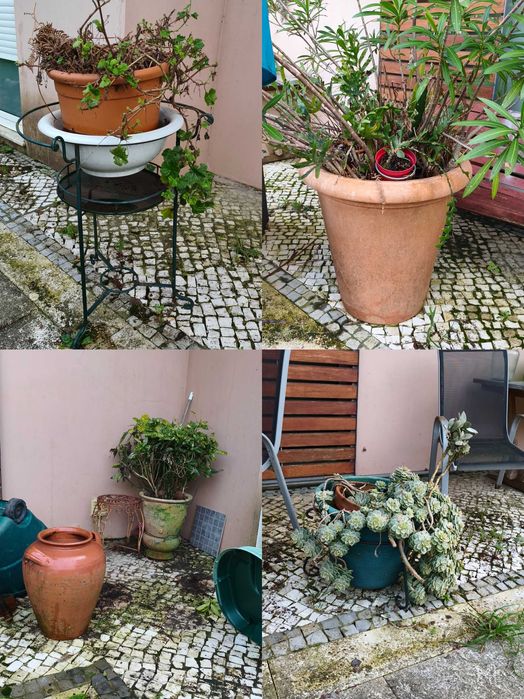 Vasos diversos cerâmica e compósito