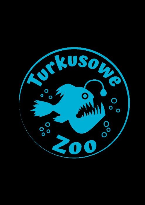 Akwarium 100x40x50 cm NOWE Sklep Akwarystyczny Turkusowe Zoo
